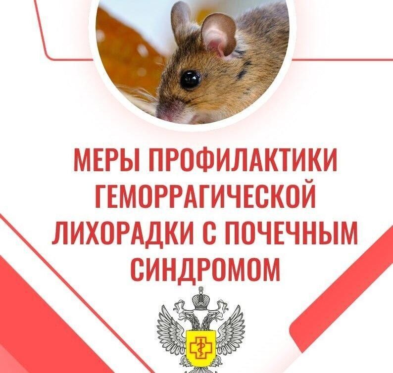 Геморрагическая лихорадка